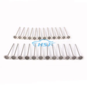 Kit de válvula de admisión y escape 3.0T 12* apto para BMW 135i 335i - Imagen 1 de 10