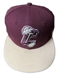 New Era 59fifty 6 7/8 Charleston Cougars Fitted Hat NWOT - Picture 1 of 4