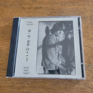 Sonic Youth Hold That Tiger 1997 CD Kim Gordon Thurston Moore Indie New York - Picture 1 of 5