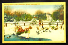 Lakewood, NJ, Feeding Ducks in Winter at Lake Carasaljo, 1930's-40's