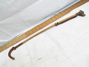 Testa di cane intagliata antica manico equitazione cavallo coltura equitazione frusta legno pelle - Foto 1 di 6