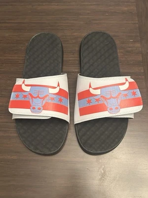 Sandalias Chicago Bulls Baloncesto ISlide Slide Zapatos Edición Ciudad Bandera EE. UU. Talla 13 Foto 1 de 4