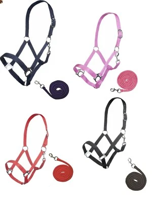 HKM Shetty Halfter oder Führstrick - Zubehör ideal für Holzpferd - viele Farben