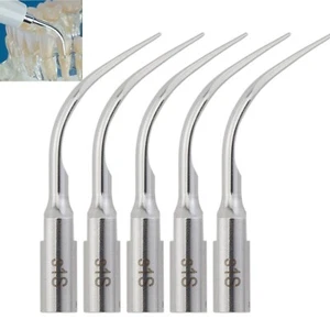 5 Stück Dental Universal Piezo Spitzen 1S Slim für ACTEON Newtron P5 Ultraschall Scaler - Bild 1 von 12