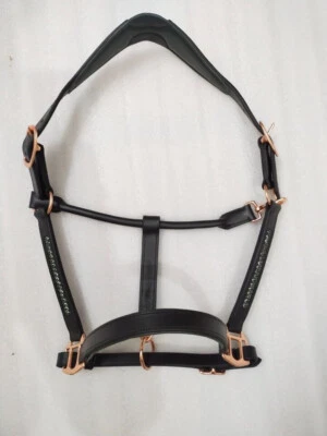 Lederhalfter Kristall & Polsterung mit Messingbeschlag für Pferd. - Bild 1 von 4