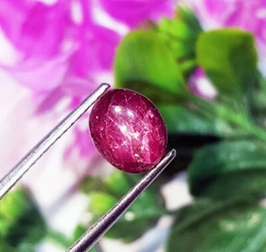 Loose Gemstone 100% Natural Star Ruby 4.85 Ct Certified With Free Gift - Picture 1 of 6