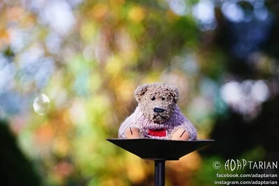 Rollei HEIDOSMAT 85/2.8 converted to M42 + focusing | SAMPLES |Trioplan triplet - Image 1 of 4