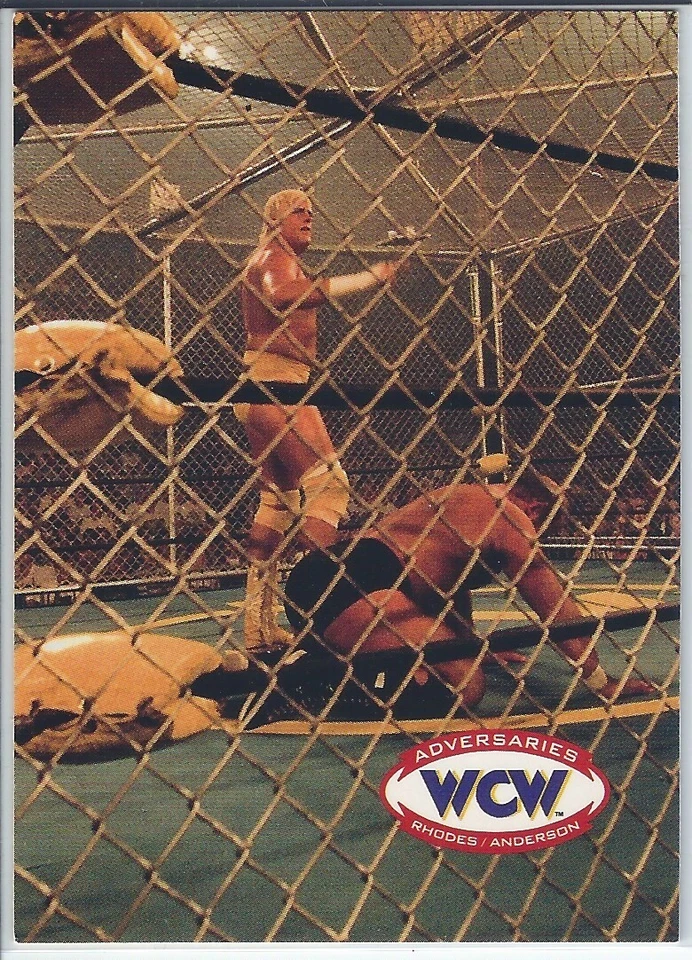 Dustin Rhodes Arn Anderson 1995 Cardz WCW Main Event Wrestling Trading Card #71 - Image 1 of 1