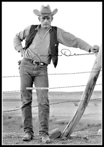 Imagen de lona de algodón autografiada de James Dean. Edición limitada (JD-5)z - Imagen 1 de 1