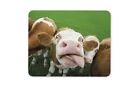 Silly Cow Mouse Mat Pad - Cattle Farm Animal Funny Cows Fun Computer Gift #12444