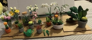 Zuru mini marques créer jardin pot succulent neuf ouvert ultra rare lot rose - Photo 1/7
