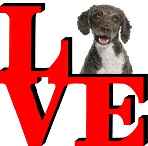 Spanish Water Spaniel Cute Dog Fridge Refrigerator Car Magnet - Picture 1 of 6