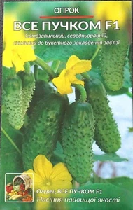 Семена Огурец Все пучком F1 Gurke-Samen - Bild 1 von 1