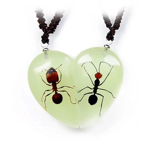 Real Ants in Two Halves of a Glow In The Dark Heart Necklace - Picture 1 of 1