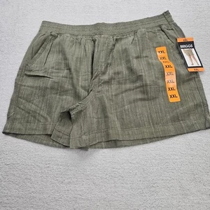 Briggs New York Womens 2XL Linen Blend Pull-on Summer Shorts Green Striped NWT - Picture 1 of 9
