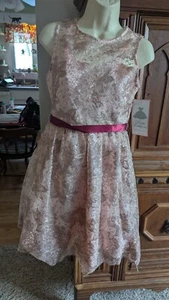 NWT Girl's RARE EDITIONS $74.99 Pink Sparkly Special Occasion Dress Size 16 - Picture 1 of 3