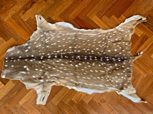 Tanned AXIS Deer SKIN LEATHER Chital HIDE RUG Argentine Deerskin - REAL PHOTOS ! - Picture 1 of 5