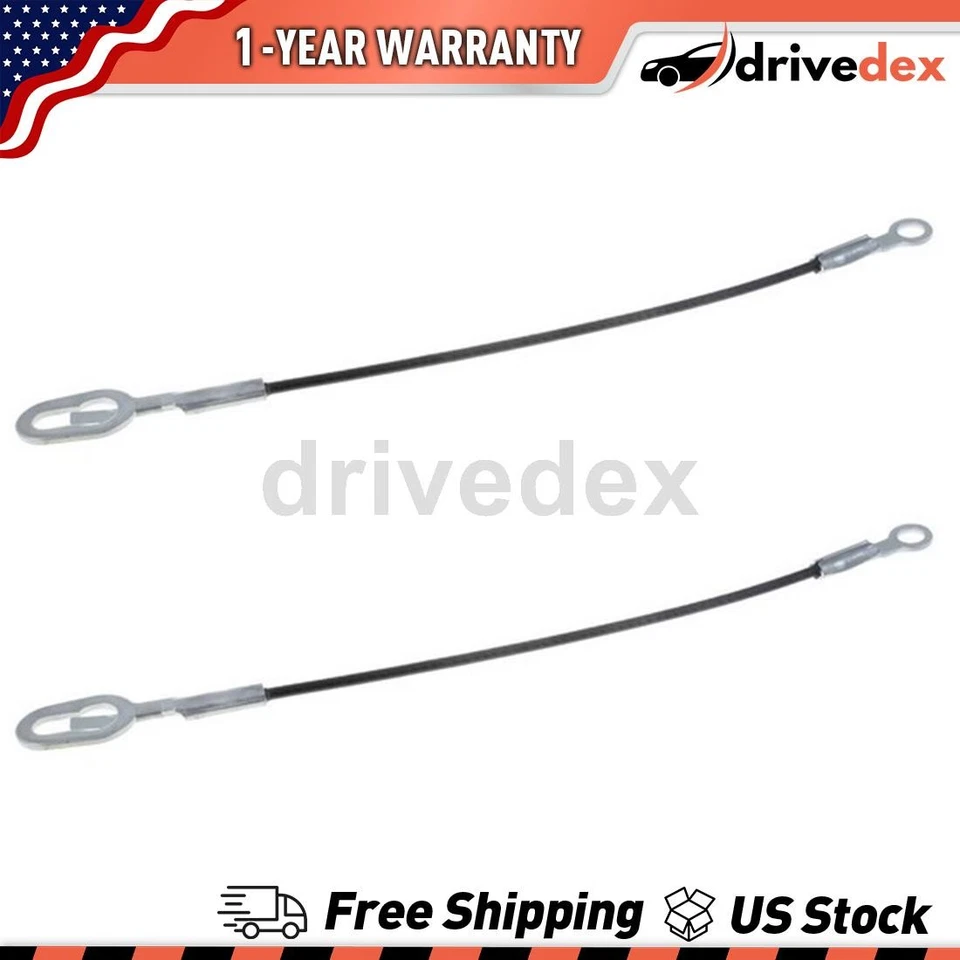 Par de cables de soporte para puerta trasera Dorman - AYUDA para Dodge Ram 1500 2000 2001 1994 Foto 1 de 4