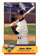 1994 Fort Wayne Wizards Fleer/ProCards #2015 James Motte