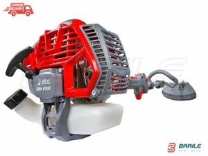 Decespugliatore / Tagliaerba EFCO DSH 2500 S - 25,4 cc - 1,2 HP - 5,8 Kg - Foto 1 di 4
