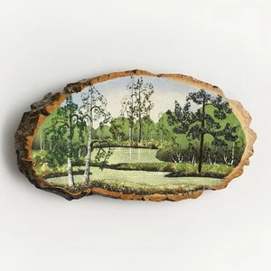 Wald See Szene Live Edge Holz Scheibe Plakette rustikales Dekor 3D Glitzer Wandkunst - Bild 1 von 7