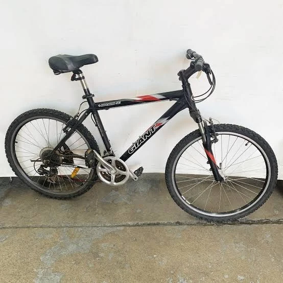 Giant Upland 21 Speed Mountain Bike - image 1 of 1