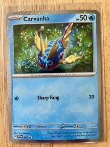 Pokemon TCG Holo Carvanha Black Star Promo Card Mint Scarlet & Violet - Picture 1 of 2
