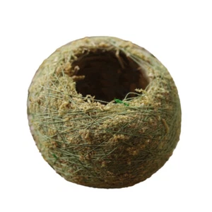 2 pcs Moss Ball Planter Pot For Orchid Bonsai Small Plant Basket Garden Decor - Picture 1 of 9