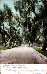 Fresno CA Greetings Pepper Drive Road 1906 postcard JQ6 - Picture 1 of 2