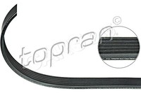 Conti V Ribbed Belt Audi A6 1 9 2 0tdi 6pk1610 6pk1613 Ebay