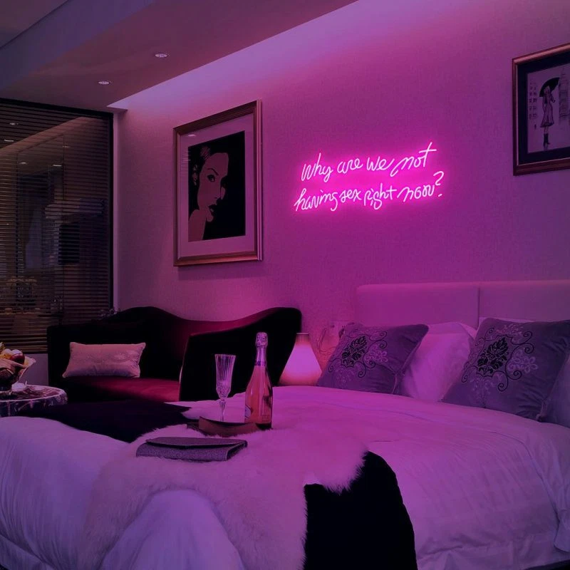 Vivid LED Why Are We Not Having Sex Not Now? 20"-32" Neon Sign Lamp Light Flex - Image 1 of 1