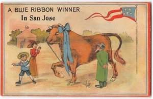 Blue Ribbon Winner SAN JOSE, CA Bull Comic Art Greetings 1910s Antique Postcard - Picture 1 of 2