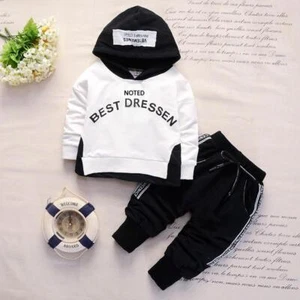 Spring Autumn Cotton Boys Clothes Outfit Kids Baby Sports Hooded Tops Pants Gift - Picture 1 of 19