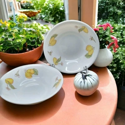 Par (2) Tigelas de Melamina Hitaco Vintage 6,75" Padrão Limão, Arroz/Cereais/Sopa - Imagem 1 de 4