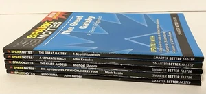 Lot of 5 Various Sparknotes Pamphlet Books - Foto 1 di 10