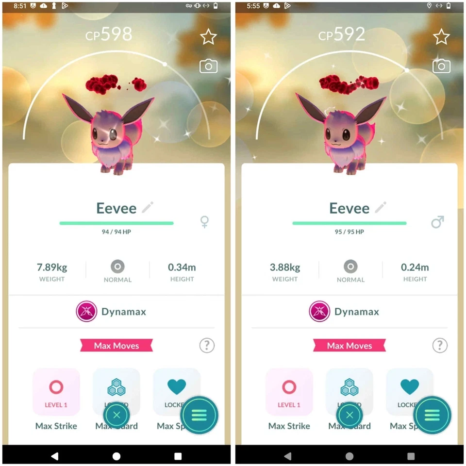 ✨ Pokémon Shiny Dynamax Eevee Female - Male ✨ - P T C - Description - Image 1 of 1