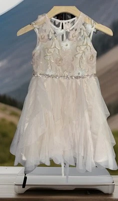 Vestido para niñas talla 6 Rare Additions. Boda, fiesta, ¡diversión de vestir! Foto 1 de 4