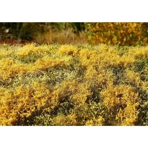 Prairie fleurie automne - Tapis fini 18x28cm - Modélisme végétalisation paysage - Photo 1 sur 1