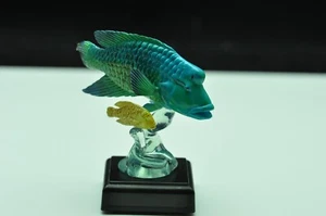 Aqua Meridian Fragrant Harbour parte 1 " Humphead Wrasse" - Imagen 1 de 7