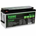 Drypower 12Lfp100p 12.8V 100Ah Lifepo4 Rechargeable Lithium Battery
