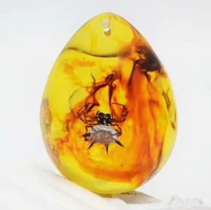 Amber Variety with Inclusion prehistoric spider (Polybern) 140 Million BC - Picture 1 of 23