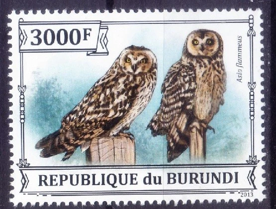 Búho de orejas cortas, Asio flammeus, Birds of Prey, Burundi 2013 MNH  Foto 1 de 1