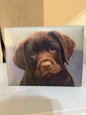 Cartões, envelopes e selos de envelope de chocolate para labrador - Imagem 1 de 4