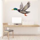 Flying Duck Mallard Bird Wall Sticker WS-46620