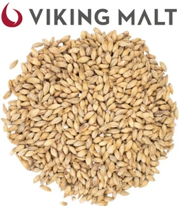 MALTO IN GRANI VIKING PILSNER (5 KG.) PER BIRRA ARTIGIANALE FATTA IN CASA - Foto 1 di 1