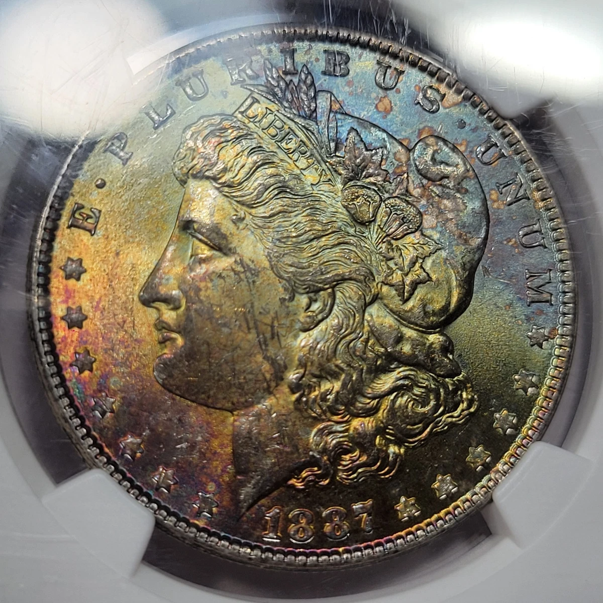 MS 63 Graded Morgan Dollars 1878-1921 for sale | eBay