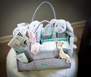Ultimate Baby Tote Bag - Diaper Organizer for Travel with Room for Wipes & Toys - Picture 1 of 7