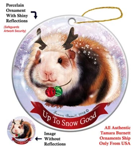 Up to Snow Good Ornament - Teddy Bear Guinea Pig - Picture 1 of 1