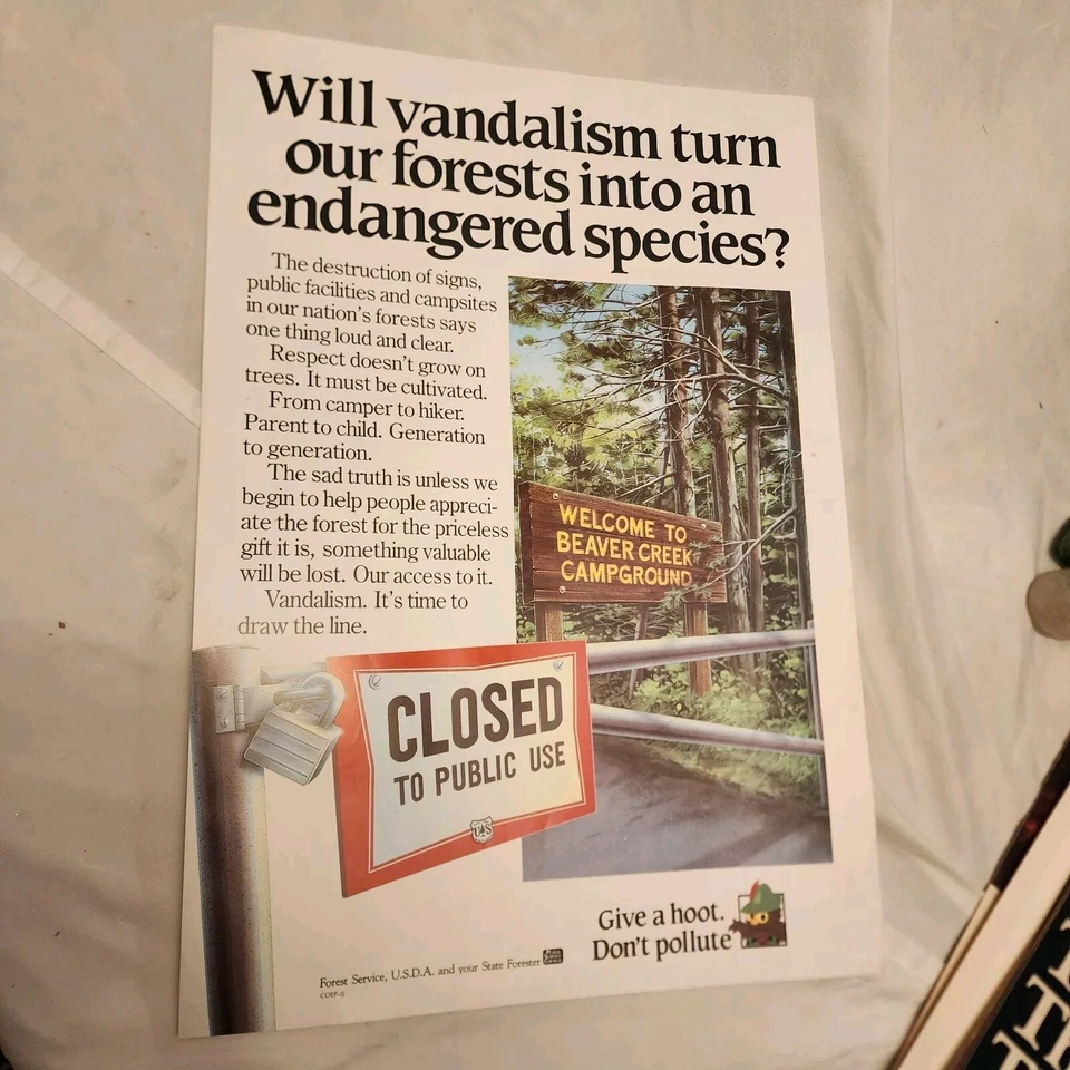 Póster de búho leñoso Will Vandalism convertirá nuestro bosque en una especie en peligro de extinción Foto 1 de 1