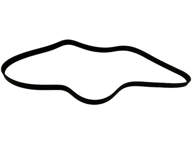 Fan To Air Conditioning Multi Rib Belt For 2002-2007 Western Star 4900EX QC738GM Foto 1 de 1